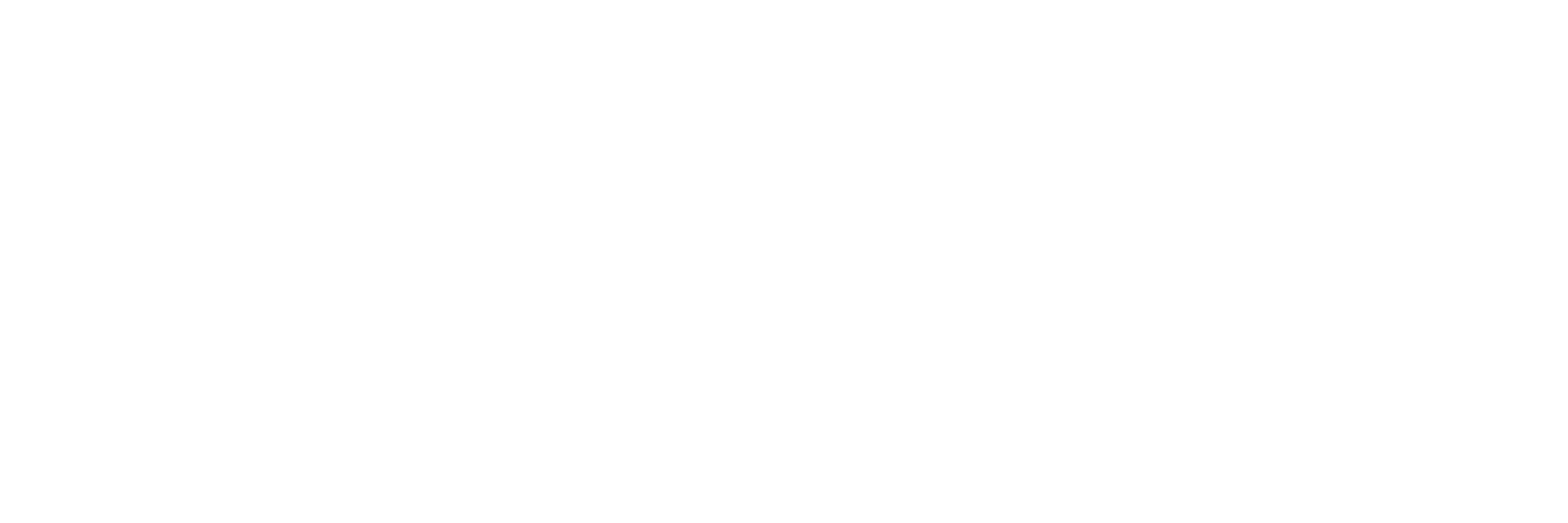 smp & co without bg
